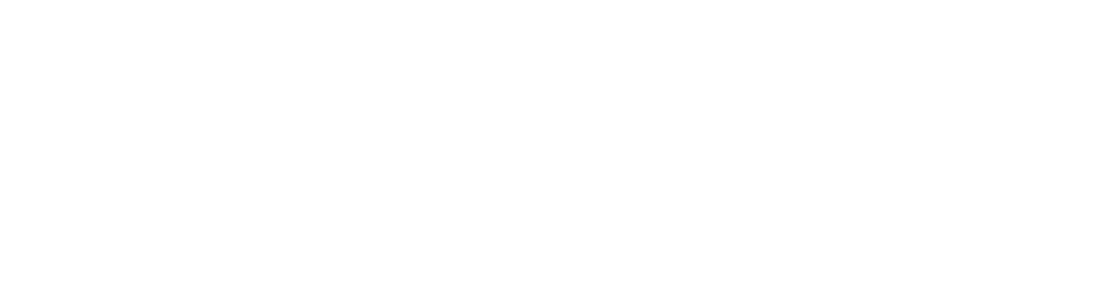 Raybotix Digital